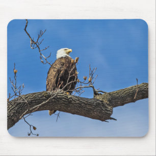 The Noble Bald Eagle Mouse Pad