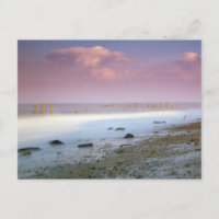 "The Norfolk Coast" postcards