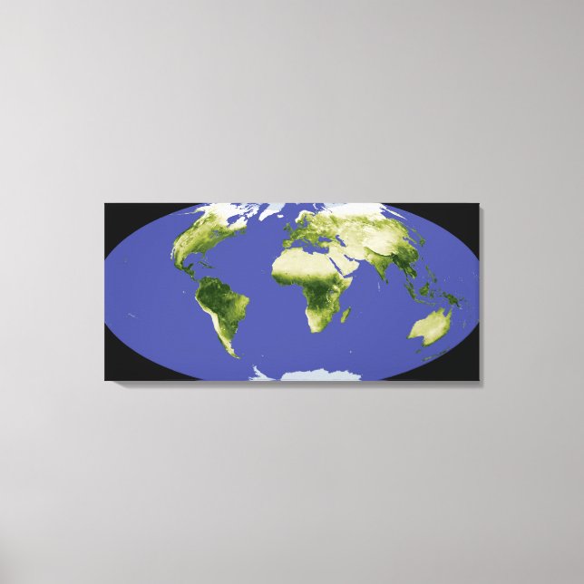 The Normalized Difference Vegetation Index Canvas Print (Front)