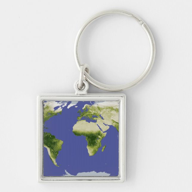 The Normalized Difference Vegetation Index Keychain (Front)