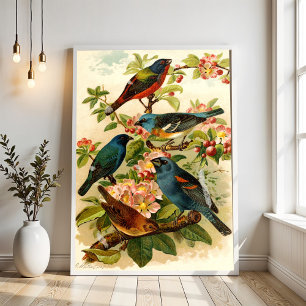 The North American Bird World, Gustav Mützel Poster