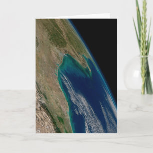 The Northern Gulf Of Mexico. Card