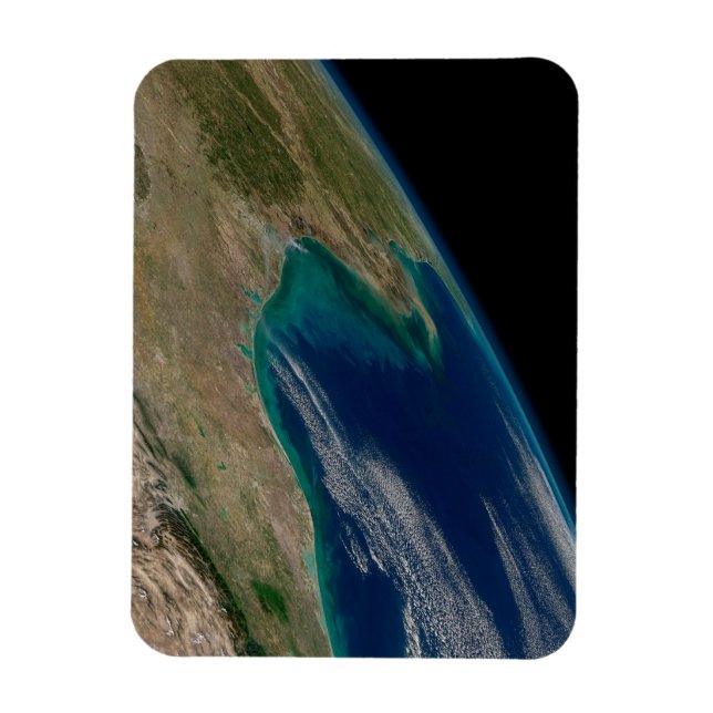 The Northern Gulf Of Mexico. Magnet (Vertical)