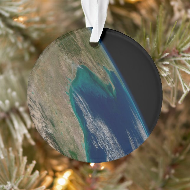 The Northern Gulf Of Mexico. Ornament (Tree)