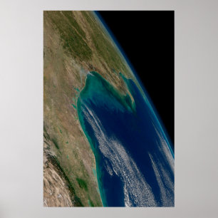 The Northern Gulf Of Mexico. Poster