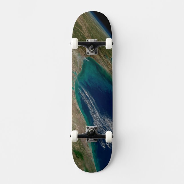 The Northern Gulf Of Mexico. Skateboard (Front)