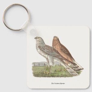 The Northern Harrier (Ring-tailed Hawk) NY Bird Keychain
