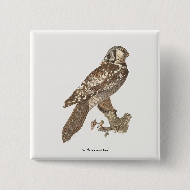 The Northern Hawk Owl (Surnia ulula) Bird Image 2 Inch Square Button (Front)