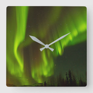 The Northern Lights Fairbanks, Alaska Square Wall Clock