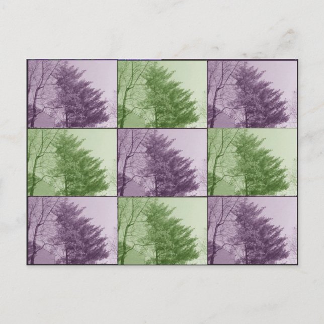 the northgate nine postcard (Front)