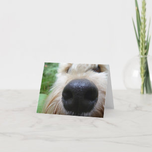 The nose knows! card