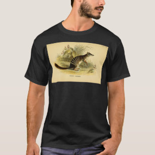The numbat Myrmecobius fasciatus Here as Banded An T-Shirt