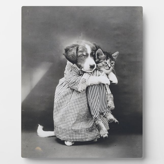 The Nurse Puppy Kitten Harry Whittier Frees 1914 Plaque (Front)
