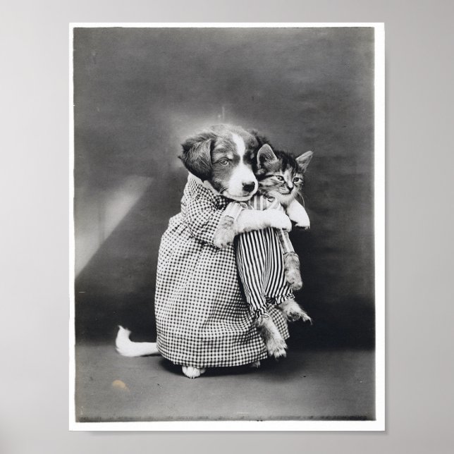 The Nurse Puppy Kitten Harry Whittier Frees 1914 Poster (Front)