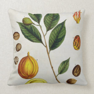 The Nutmeg, plate 353 from 'A Curious Herbal', pub Throw Pillow