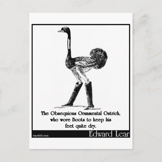 The Obsequious Ornamental Ostrich Postcard (Front)
