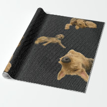 The Obstinate Airedale Wrapping Paper
