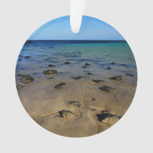 The Ocean Highway of Jeju Island Ornament
