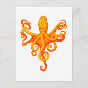 THE OCTOPUS SHINES POSTCARD