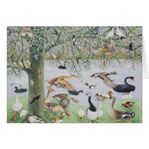 The Odd Duck