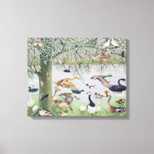 The Odd Duck Canvas Print