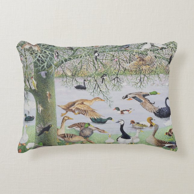 The Odd Duck Decorative Pillow (Front)