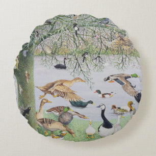 The Odd Duck Round Pillow
