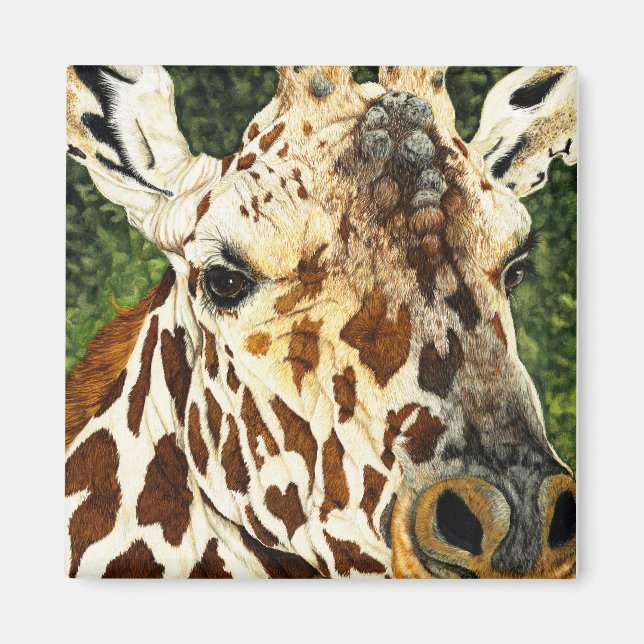 The Old Bachelor Giraffe Magnet (Front)