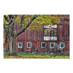 The Old Dairy Farm Barn Photo Print