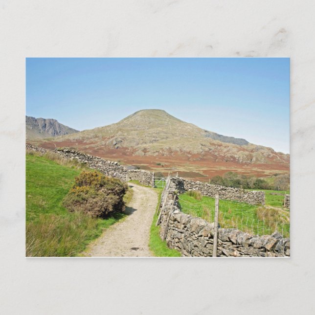 The Old Man of Coniston Postcard (Front)