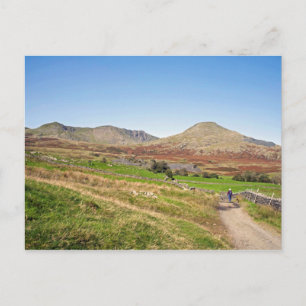 The Old Man of Coniston Postcard