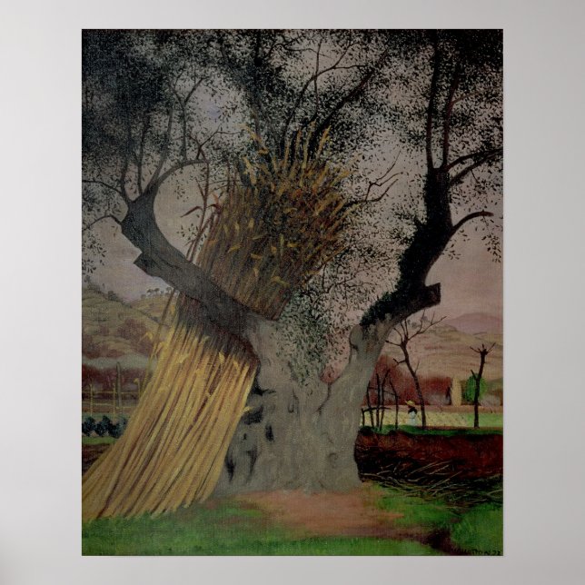 The Old Olive Tree, 1922 Poster (Front)