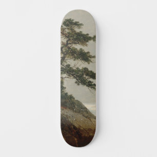 The Old Pine, Darien, Connecticut Kensett Skateboard