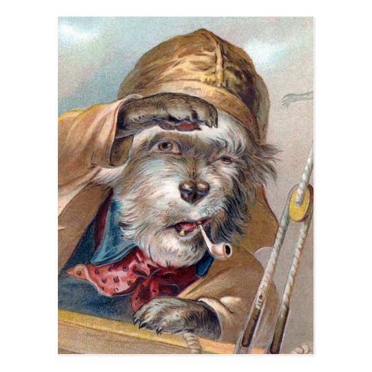 "The Old Sea Dog" Vintage Postcard