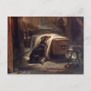 The Old Shepherd's Chief Mourner by Edwin Henry Postcard