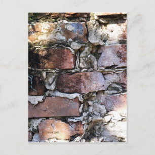 The Old Wall Postcard