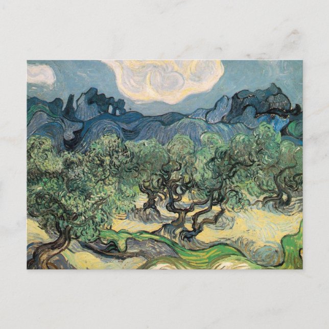 the olive trees,1889, Vincent van Gogh Postcard (Front)