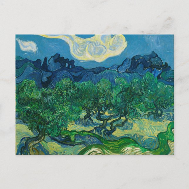 The Olive Trees with Alpilles Vincent van Gogh Postcard (Front)
