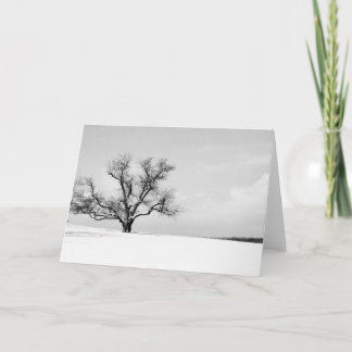 The One Tree in Winter Greeting Card