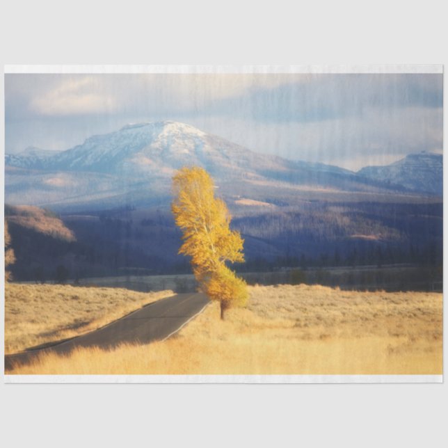 The Open Road Tissue Paper (Front)