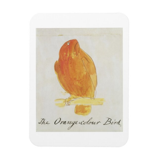 The Orange Colour Bird, from 'Sixteen Drawings of Magnet (Vertical)