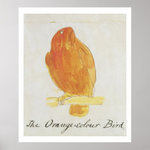 The Orange Colour Bird, from 'Sixteen Drawings of Poster