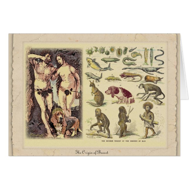 The Origin of Basset (Front Horizontal)