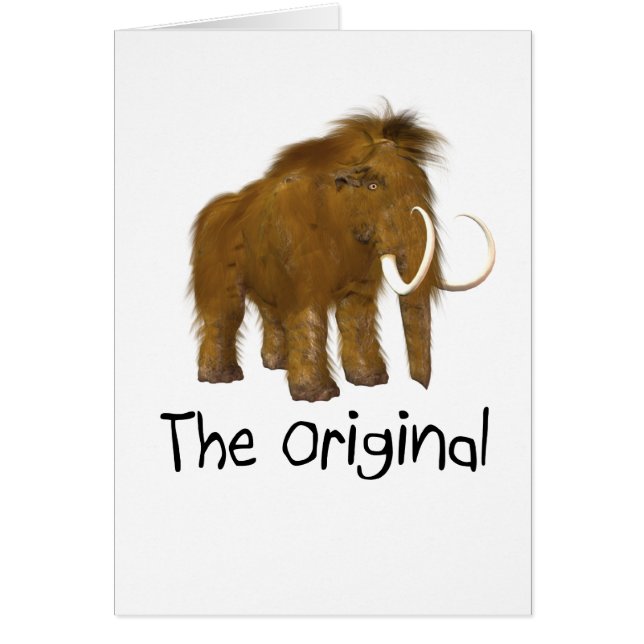 "The Original" (Front)