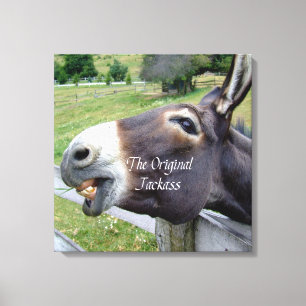 The Original Jackass Funny Donkey Mule Farm Animal Canvas Print