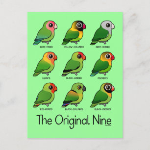 The Original Nine Postcard