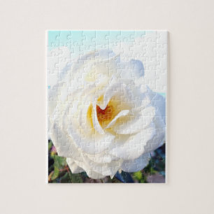The original white rose photo puzzle、白薔薇のパズル jigsaw puzzle