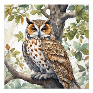The Owl, Wildlife Illustrative Poster