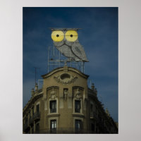 The owls are not what they seem