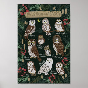 The Owls found in Alaska Poster